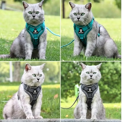 Adjustable Harness & Leash Set for Small Dogs - Reflective, Breathable