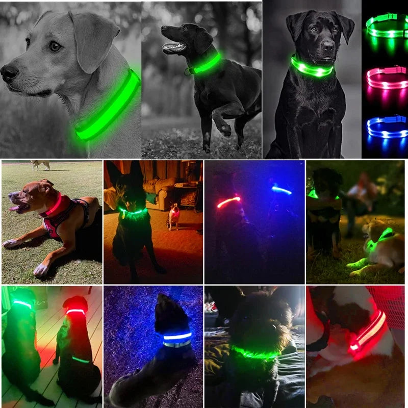 3 modes rechargeable led dog collar - adjustable night safety glow collar