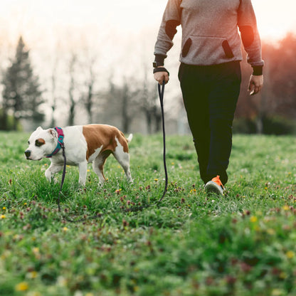 Extra-Long Fiber Dog Training Leash for Small and Large Dog Breeds