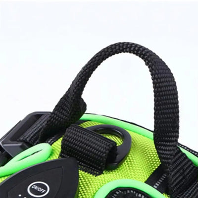 Rechargeable LED Dog Harness, Adjustable Light Up Glow Vest for Dogs
