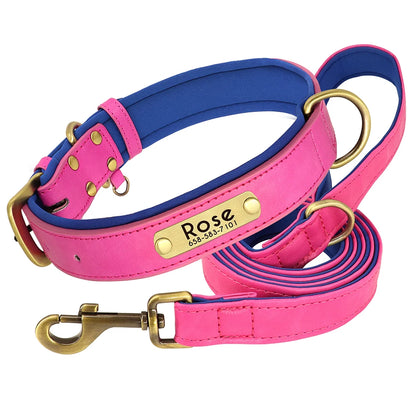 Padded Leather Dog Collar and Leash Set with Custom Nameplate Tag