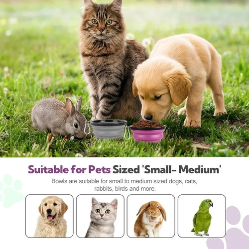 Folding Silicone Dog Bowl with Carabiner – Portable Travel Feeder