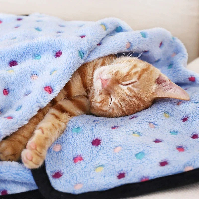 soft fluffy dot pattern pet blanket for cats and dogs warm coral fleece