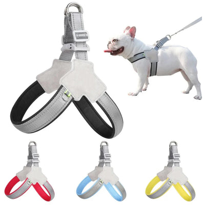 No-Pull Vest Harness for Small Dogs & Cats - Reflective, Adjustable