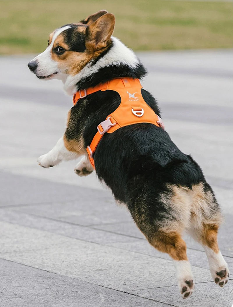 lightweight dog harness & leash set - anti-pull, escape-proof fit