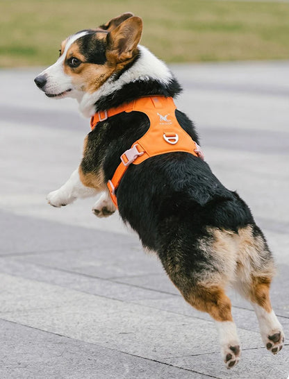 Lightweight Dog Harness & Leash Set - Anti-Pull, Escape-Proof Fit