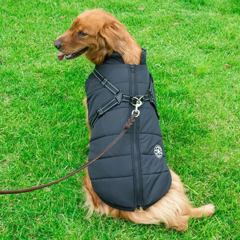 winter dog jacket with built-in harness – warm splash-proof coat