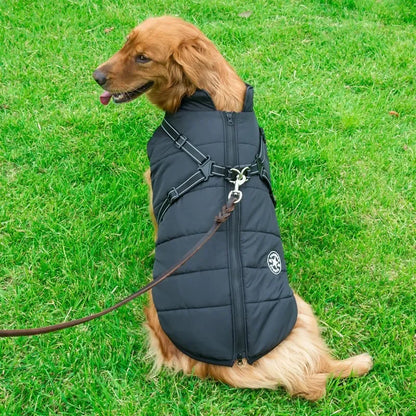 Winter Dog Jacket with Built-In Harness – Warm Splash-Proof Coat