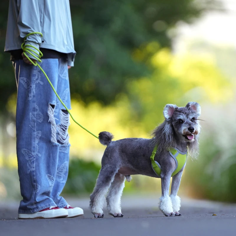 reflective adjustable pet harness & leash set for small/medium dogs