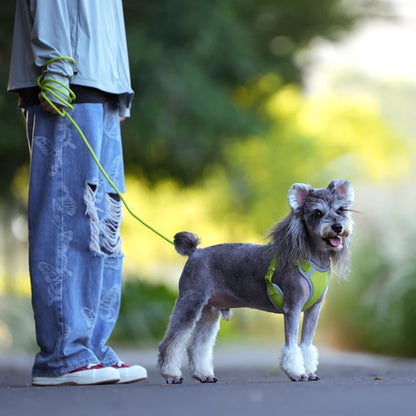 Reflective Adjustable Pet Harness & Leash Set for Small/Medium Dogs