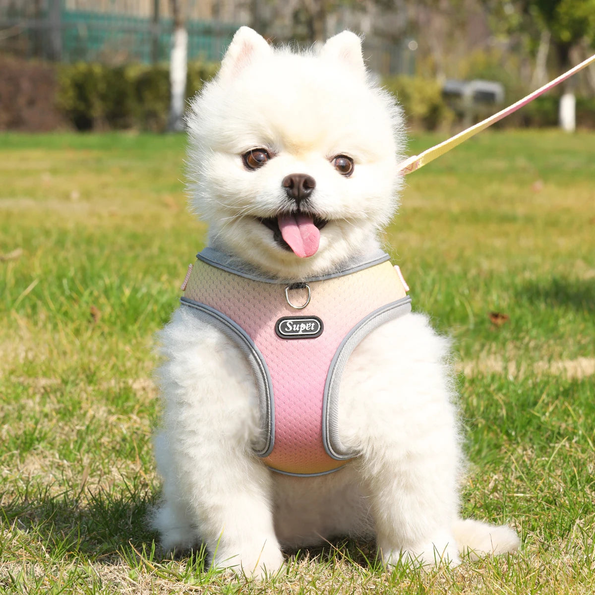 step-in dog harness with reflective, breathable design, adjustable