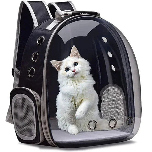 Transparent Bubble Pet Carrier Backpack for Cats & Small Dogs