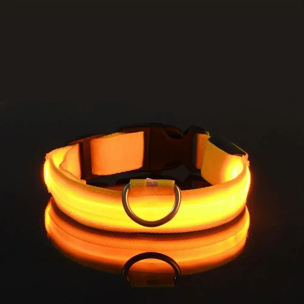 led glow dog collar - battery-powered night walking safety collar