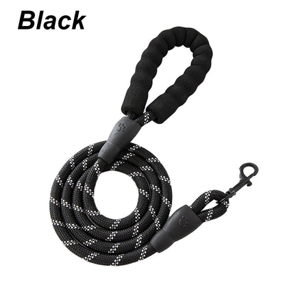 Reflective Nylon Dog Leash – Padded No-Slip Handle, Adjustable Fit