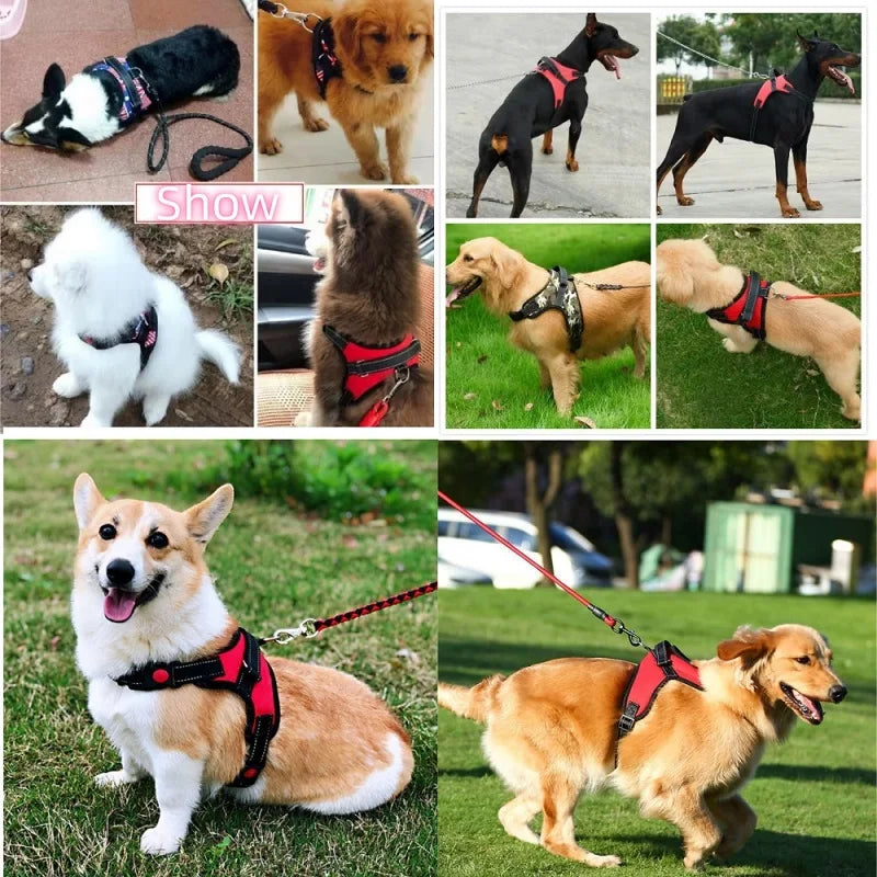 strong no-pull dog vest harness with padded and reflective design