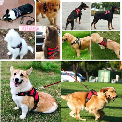 Strong No-Pull Dog Vest Harness with Padded and Reflective Design