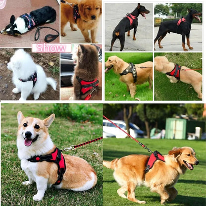 Strong No-Pull Dog Vest Harness with Padded and Reflective Design
