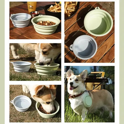 Foldable Silicone Dog & Cat Bowl – Portable Travel Feeding Bowl