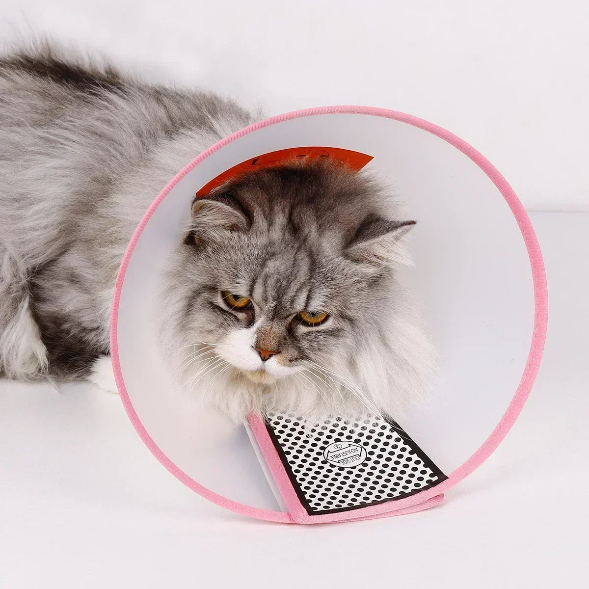 adjustable pet recovery collar after surgery - cone for cats and dogs