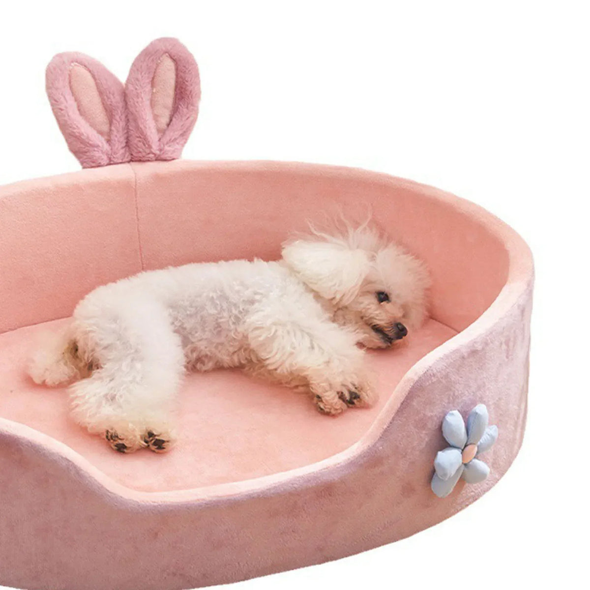 detachable washable pet bed – soft year-round dog & cat mat