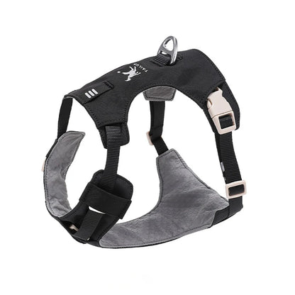 Lightweight Dog Harness & Leash Set - Anti-Pull, Escape-Proof Fit