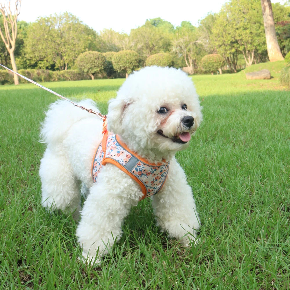 soft puppy harness, leash & collar set – adjustable pet vest set
