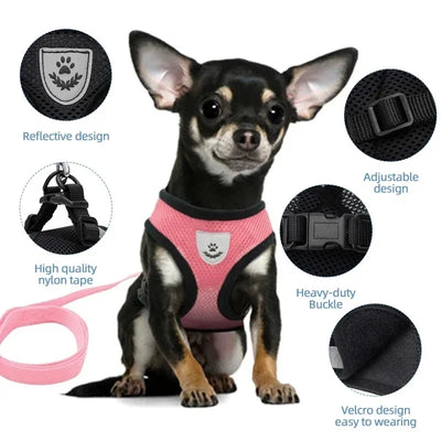 Adjustable Mesh Vest Harness & Leash - Breathable for Cats & Dogs