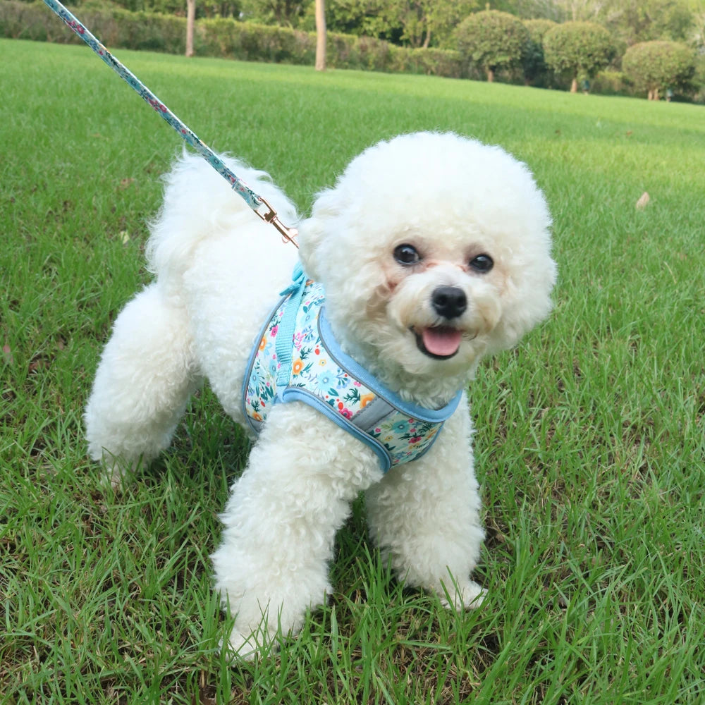 soft puppy harness, leash & collar set – adjustable pet vest set