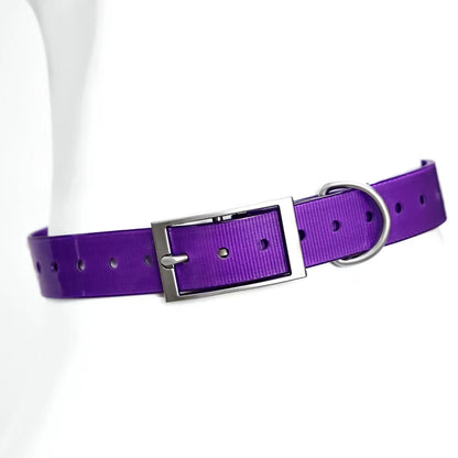 2.5cm Wide Heavy-Duty TPU Dog Collar for Hunting, Training, and Everyday Walks