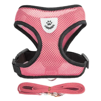 Adjustable Mesh Vest Harness & Leash - Breathable for Cats & Dogs