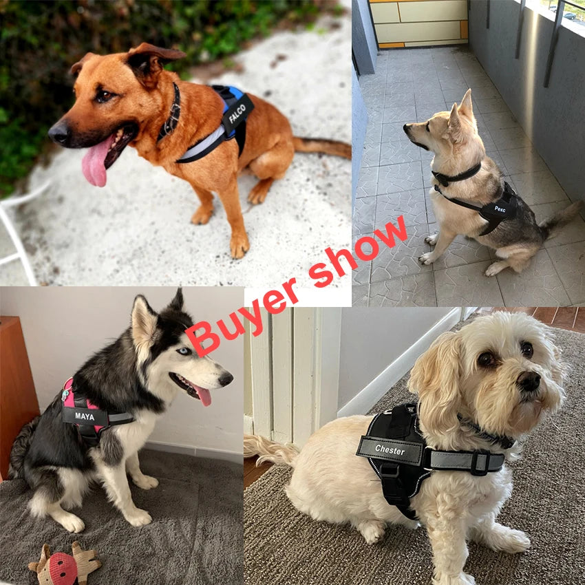 personalized reflective dog harness – no-pull vest for walking