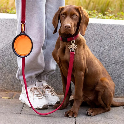 Collapsible Silicone Pet Bowl – Portable Travel Food & Water Bowl