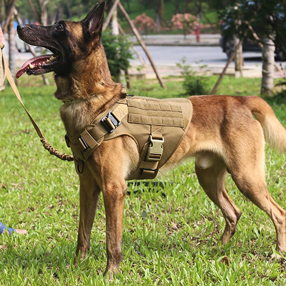 tactical dog harness with molle system – heavy-duty large dog vest