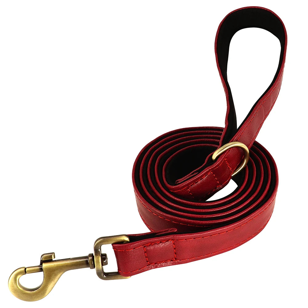 padded leather dog collar and leash set with custom nameplate tag