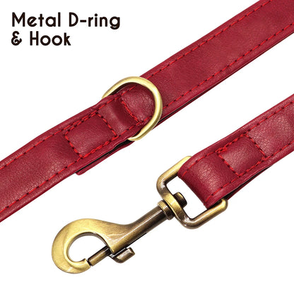 Padded Leather Dog Collar and Leash Set with Custom Nameplate Tag