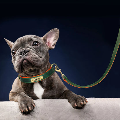 Padded Leather Dog Collar and Leash Set with Custom Nameplate Tag