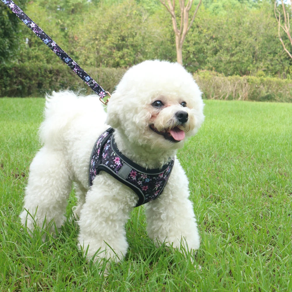 soft puppy harness, leash & collar set – adjustable pet vest set