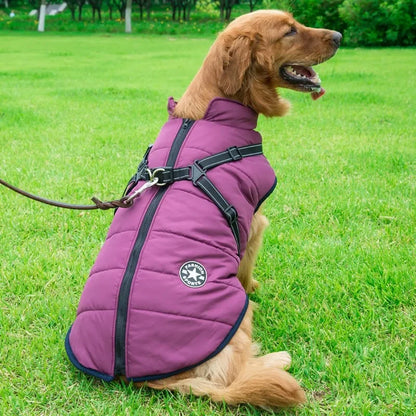 Winter Dog Jacket with Built-In Harness – Warm Splash-Proof Coat