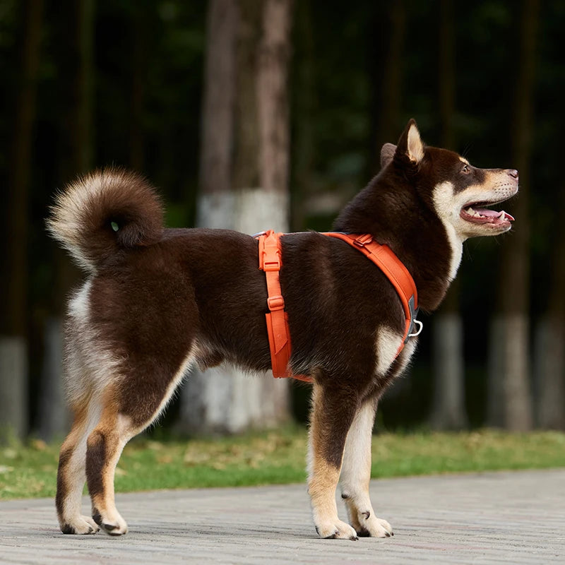 no-pull dog harness - reflective, padded & adjustable with handle