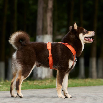 No-Pull Dog Harness - Reflective, Padded & Adjustable with Handle