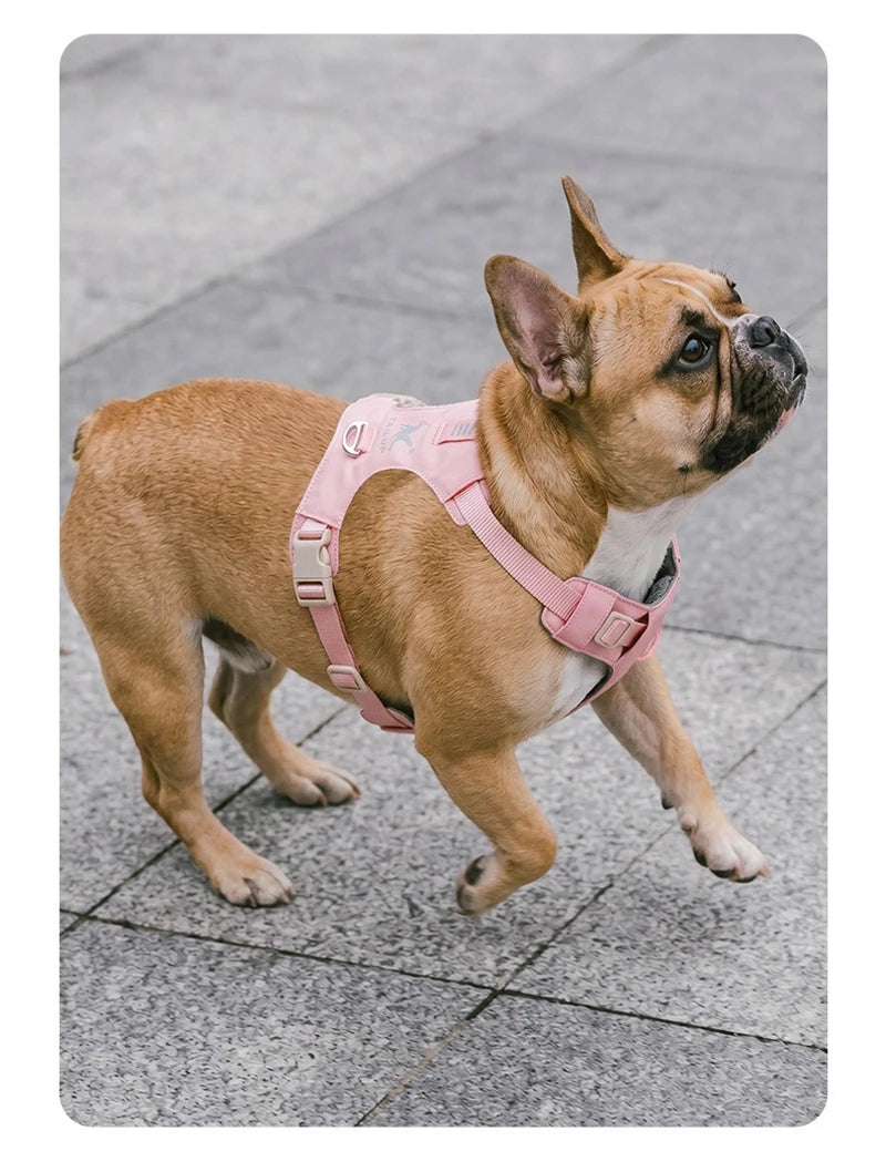 lightweight dog harness & leash set - anti-pull, escape-proof fit