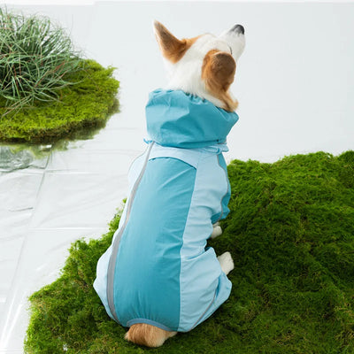Color Block Four Leg Waterproof Dog Raincoat for Corgi and Dachshund