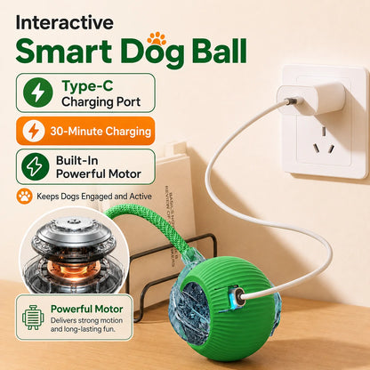 Automatic Rolling Dog Ball Toy - Rechargeable Smart Interactive Toy
