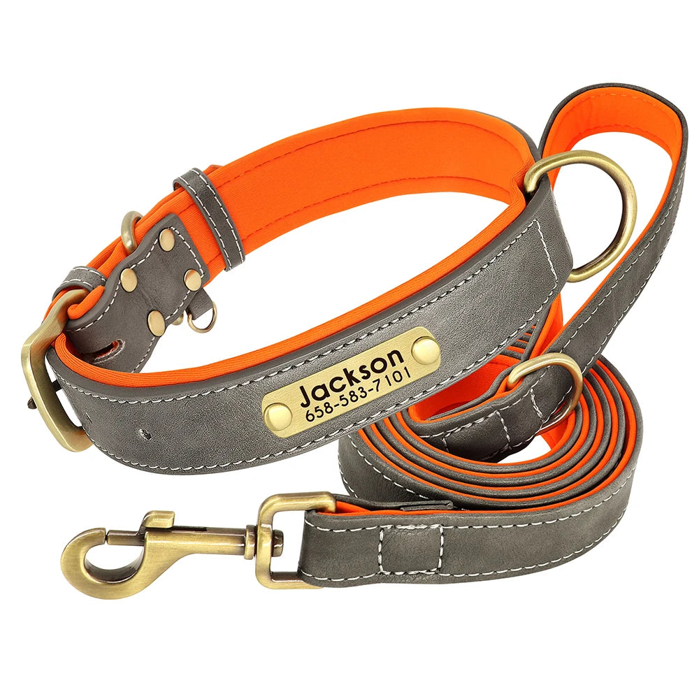 padded leather dog collar and leash set with custom nameplate tag