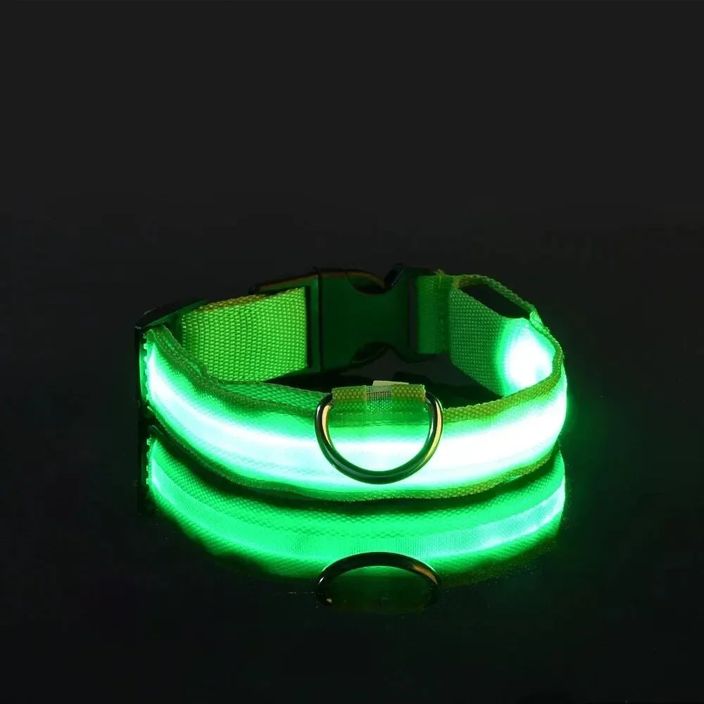 led glow dog collar - battery-powered night walking safety collar