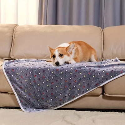 Soft Fluffy Dot Pattern Pet Blanket for Cats and Dogs Warm Coral Fleece