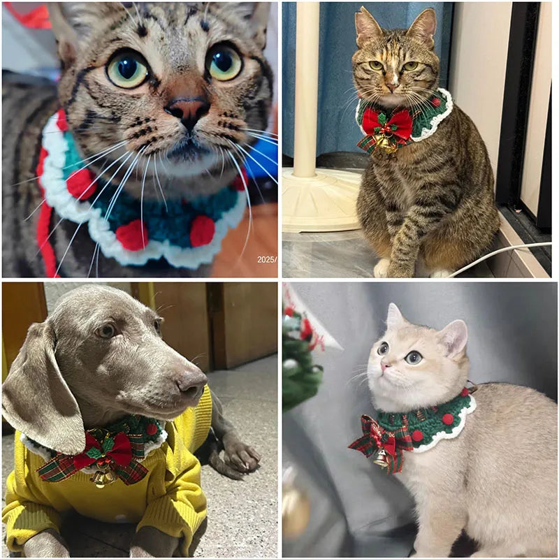 crocheted christmas cat bow tie collar for kittens and puppies