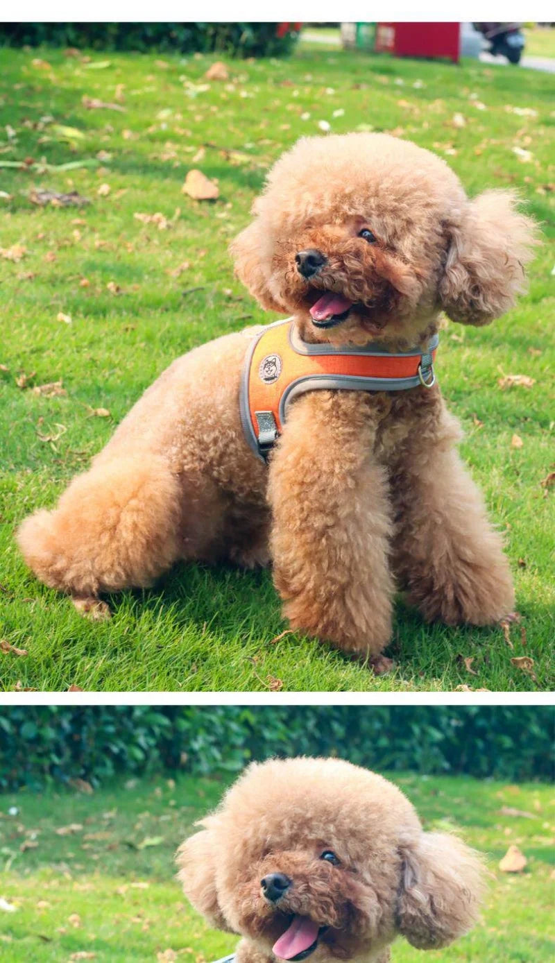 no-pull nylon dog harness - reflective, adjustable anti-burst vest