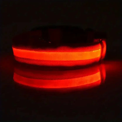 LED Glow Dog Collar - Battery-Powered Night Walking Safety Collar