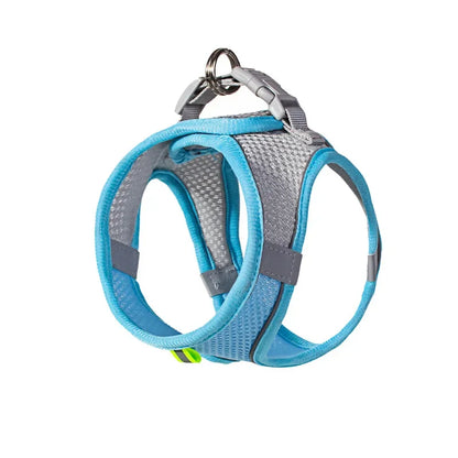 Breathable Mesh Pet Harness with Reflective Safety Stitching Set